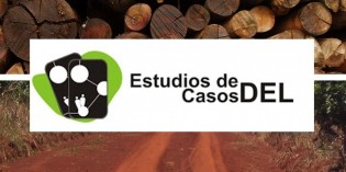 Estudio de caso: Sector Madera y Muebles, Provincia de Misiones