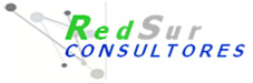Red Sur Consultores