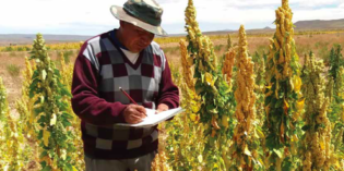 #RevistaLeisa – Agroecología e investigación participativa: experiencias en los Andes